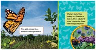 Explore My World Nat Geo Kids: Butterflies