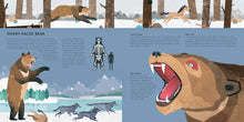 Load image into Gallery viewer, Mega Meltdown: The Weird And Wonderful Animals of the Ice Age
