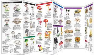Pocket Naturalist Guides