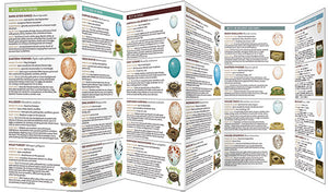 Pocket Naturalist Guides