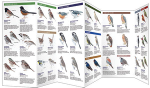 Pocket Naturalist Guides