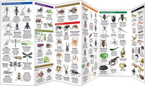 Pocket Naturalist Guides