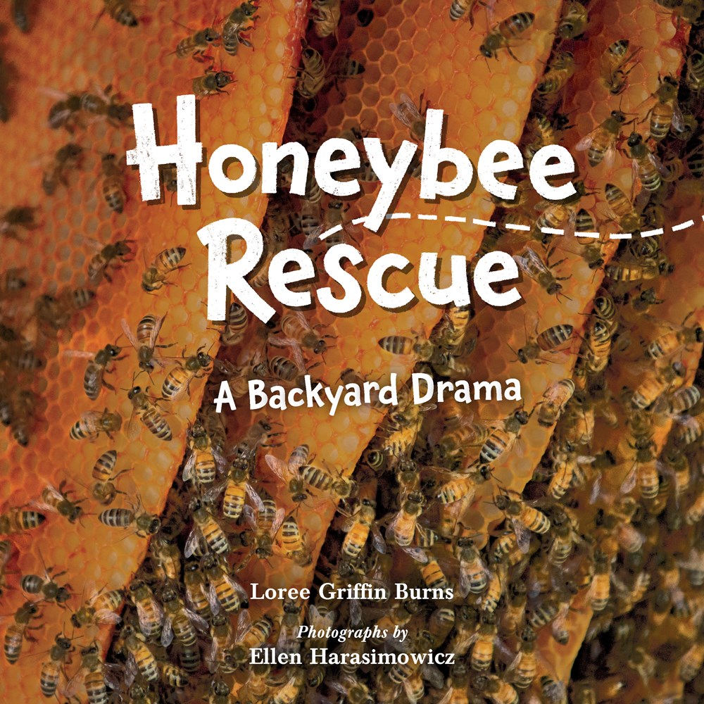 Honeybee Rescue : A Backyard Drama