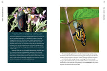 Load image into Gallery viewer, 100 Plants to Feed the Monarch : Create a Healthy Habitat to Sustain North America&#39;s Most Beloved Butterfly
