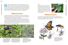 Load image into Gallery viewer, 100 Plants to Feed the Monarch : Create a Healthy Habitat to Sustain North America&#39;s Most Beloved Butterfly
