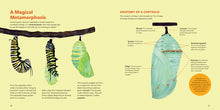 Load image into Gallery viewer, Monarch Butterflies : Explore the Life Journey of One of the Winged Wonders of the World
