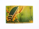 Load image into Gallery viewer, Bonkers About Beetles
