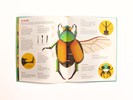 Load image into Gallery viewer, Bonkers About Beetles
