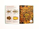Load image into Gallery viewer, Bonkers About Beetles
