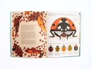 Load image into Gallery viewer, Bonkers About Beetles
