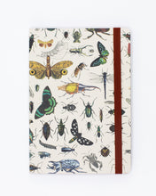 Load image into Gallery viewer, Butterflies &amp; Beetles A5 Softcover Notebook
