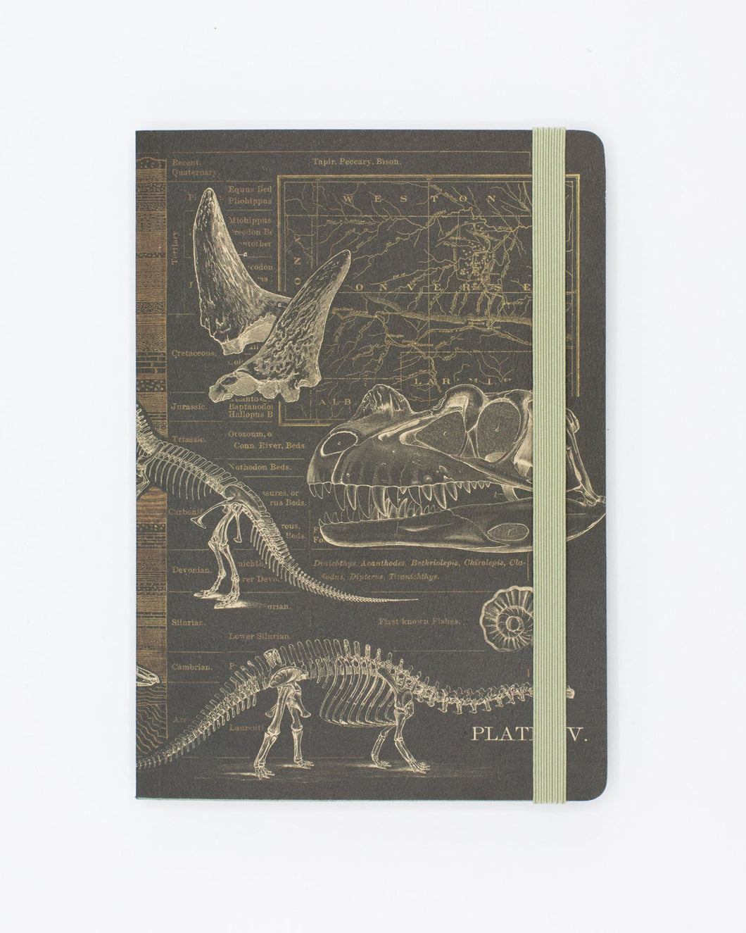 Dinosaur Bones A5 Softcover