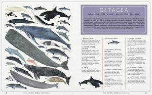 The Animal World: The Amazing Connections and Diversity Found in the Animal Family Tree