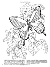 Load image into Gallery viewer, Butterflies Coloring Book
