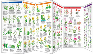 Pocket Naturalist Guides