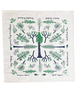 Champion Trees Cotton Bandana