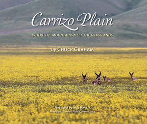 Carrizo Plain, Where the Mountains Meet the Grasslands