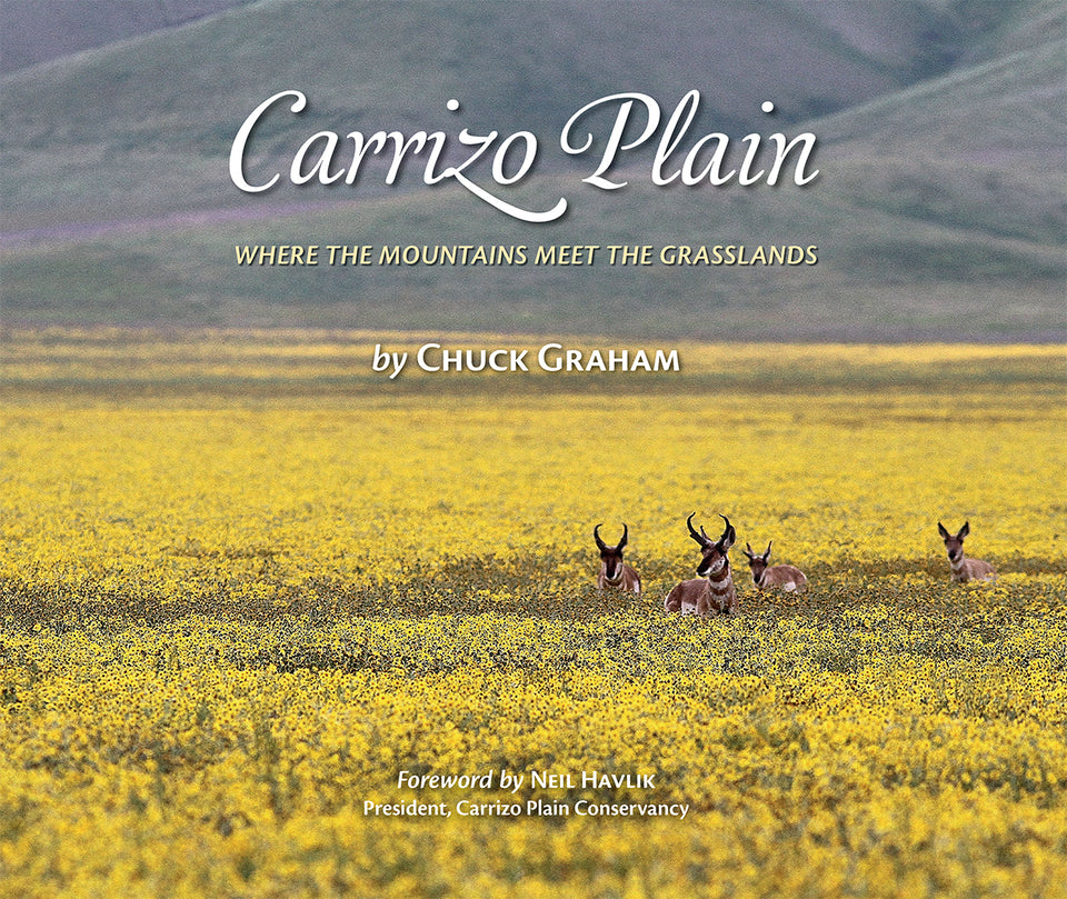Carrizo Plain, Where the Mountains Meet the Grasslands