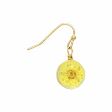 Load image into Gallery viewer, Yellow Dried Flower Earrings
