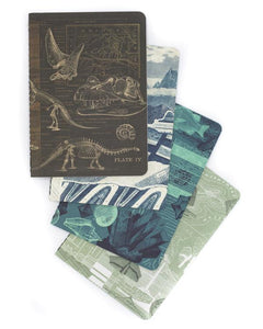 Earth Science Mini Softcover Notebook 4pk