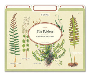 Ferns File Folders Set of 12