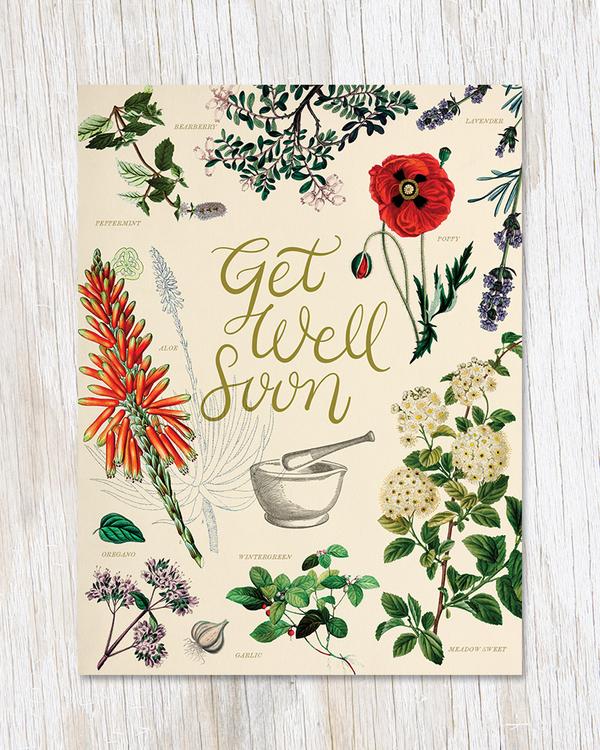 Get Well: Medicinal Botany Card