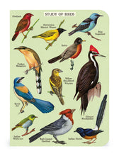 Load image into Gallery viewer, Bird Watching Mini Notebooks 3-pack
