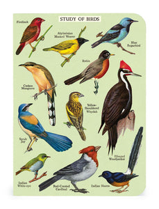 Bird Watching Mini Notebooks 3-pack