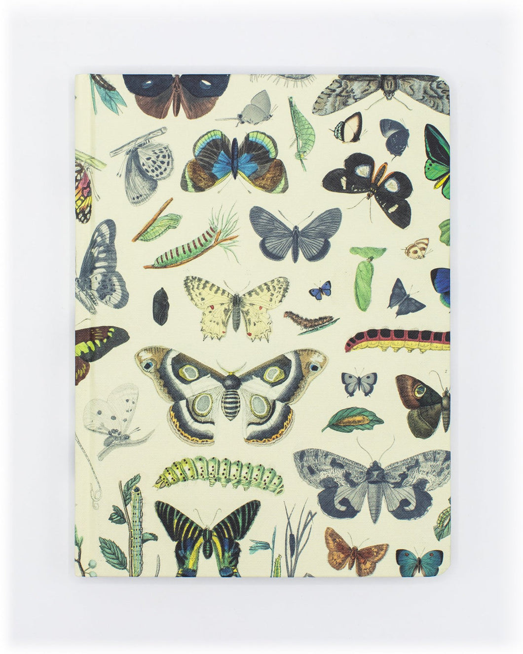 Butterflies Hardcover Lined/Grid Notebook