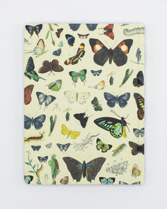 Butterflies Hardcover Lined/Grid Notebook