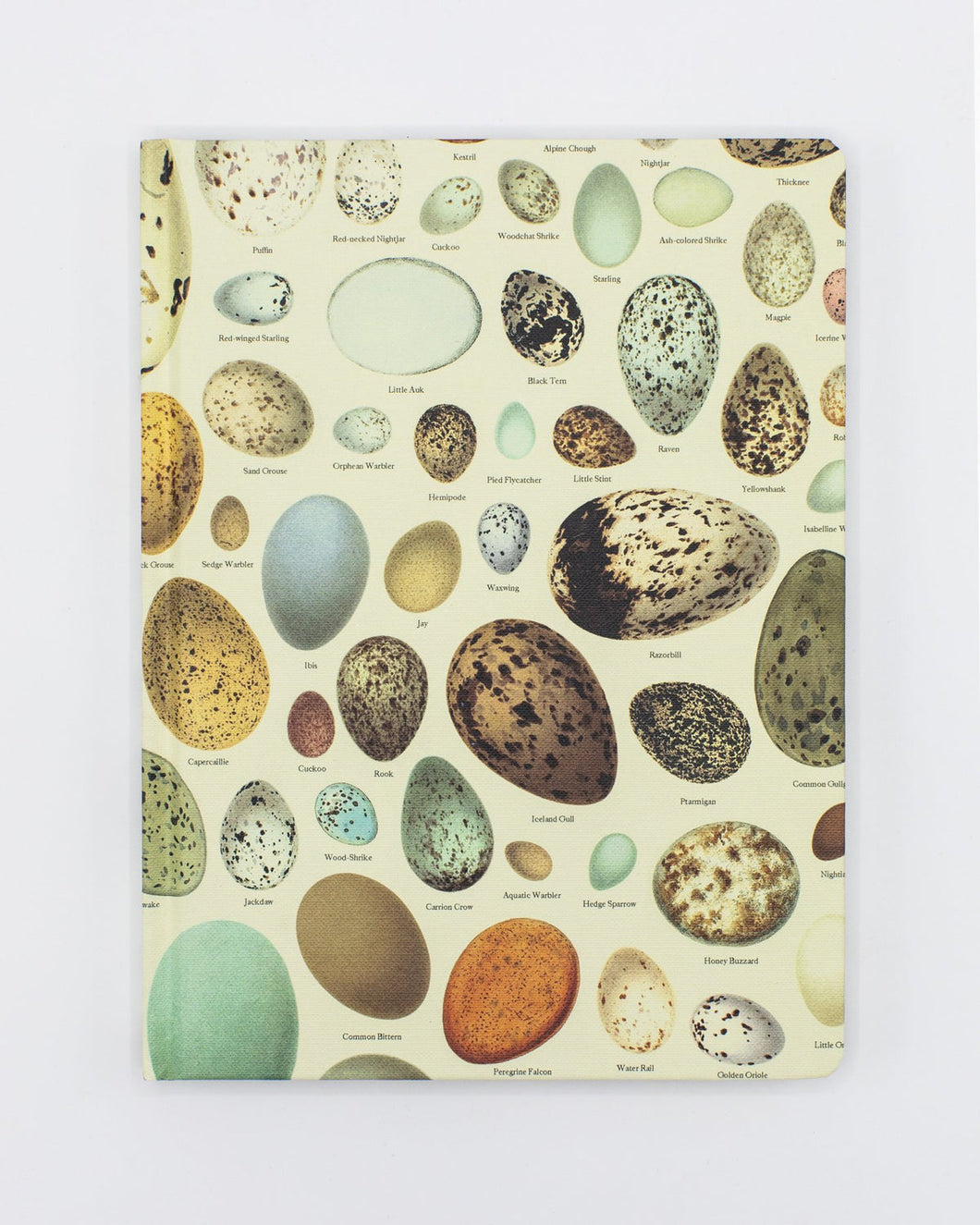 Eggs Hardcover Dot Grid Notebook