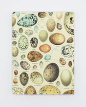 Load image into Gallery viewer, Eggs Hardcover Dot Grid Notebook
