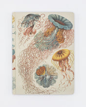 Load image into Gallery viewer, Haeckel Jellyfish Hardcover Lined/Grid Notebook
