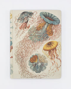 Haeckel Jellyfish Hardcover Lined/Grid Notebook