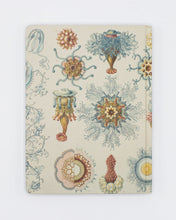 Load image into Gallery viewer, Haeckel Jellyfish Hardcover Lined/Grid Notebook
