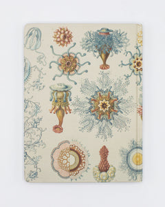Haeckel Jellyfish Hardcover Lined/Grid Notebook