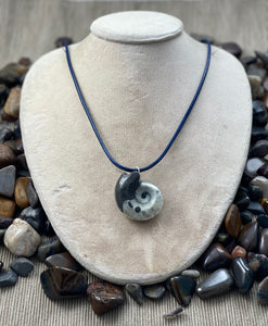 Goniatite Fossil Pendant Necklace
