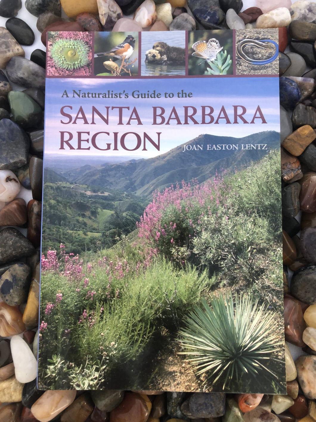 A Naturalist's Guide to the Santa Barbara Region
