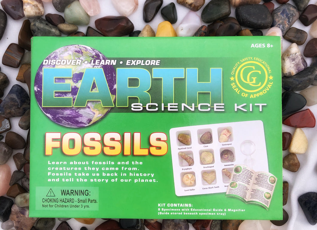 Earth Science Kit: Fossils