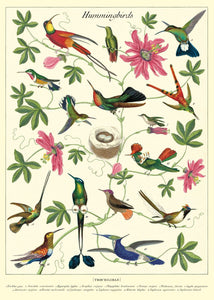 Hummingbirds Wrap