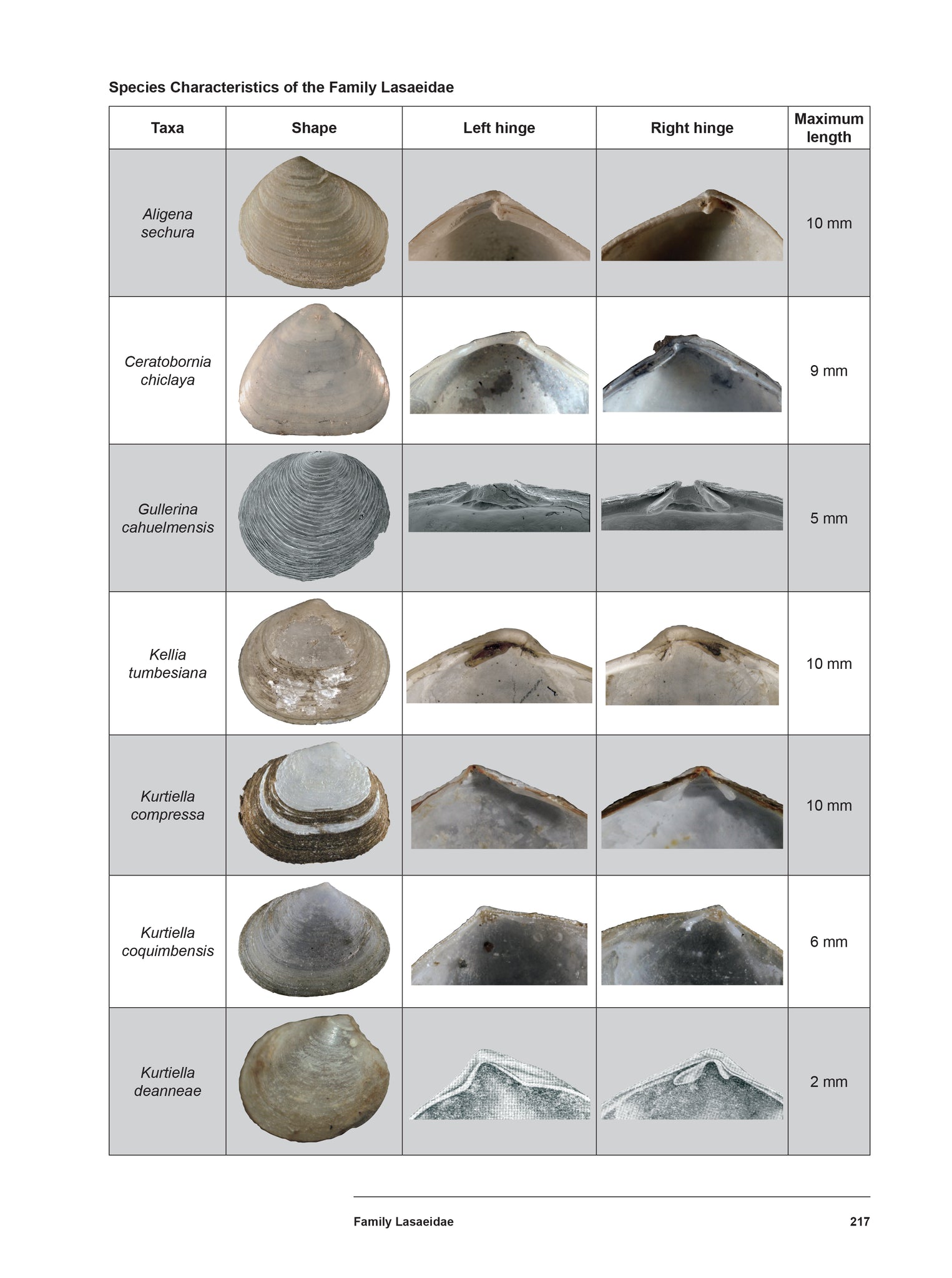 Bivalve Seashells of Western South America: Marine Bivalve Mollusks fr ...