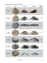 Load image into Gallery viewer, Bivalve Seashells of Western South America: Marine Bivalve Mollusks from Northern Perú to Southern Chile
