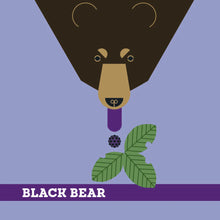 Load image into Gallery viewer, Charley Harper&#39;s Animals Memory Game
