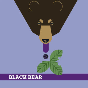 Charley Harper's Animals Memory Game