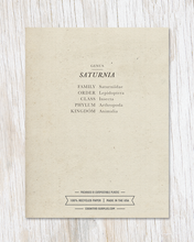Load image into Gallery viewer, Metamorphosis Moth Specimen Card
