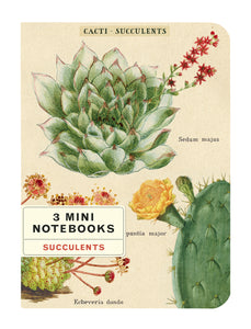 Mini Succulents Notebook 3-pack