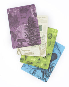 Natural Science Mini Softcover Notebook 4-pack