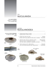 Load image into Gallery viewer, Bivalve Seashells of Western South America: Marine Bivalve Mollusks from Northern Perú to Southern Chile
