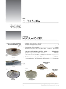 Bivalve Seashells of Western South America: Marine Bivalve Mollusks from Northern Perú to Southern Chile