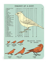 Load image into Gallery viewer, Bird Watching Mini Notebooks 3-pack
